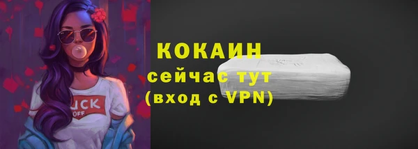мдпв Бронницы