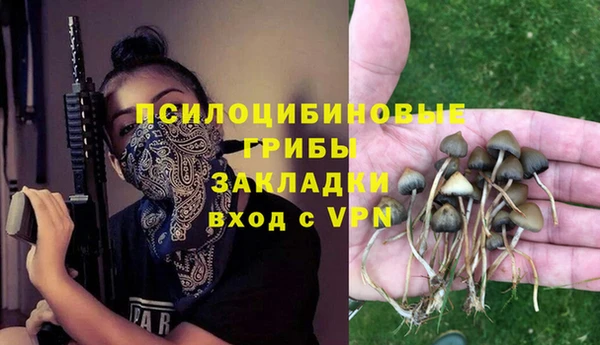 крисы Богданович