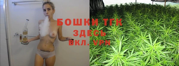 мдпв Бронницы