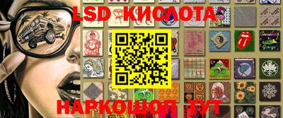 spice Кингисепп