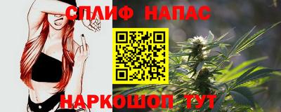 spice Кингисепп