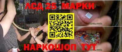 spice Кингисепп