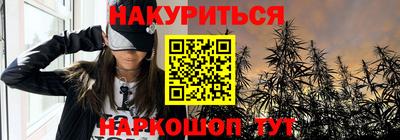spice Кингисепп