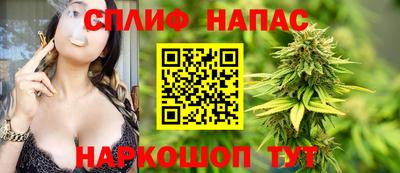 spice Кингисепп