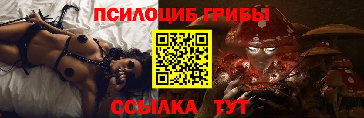 Галлюциногенные грибы MAGIC MUSHROOMS  Вход с VPN  Среднеуральск 