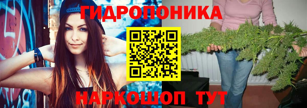 МАРИХУАНА семена  Вход с VPN  Шишки марихуана семена  Шишки марихуана OG Kush  Среднеуральск  Бошки Шишки план 